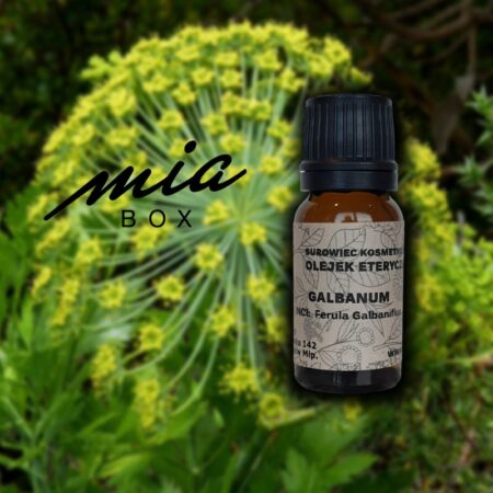 Galbanowy z żywicy naturalny olejek eteryczny - Galbanum