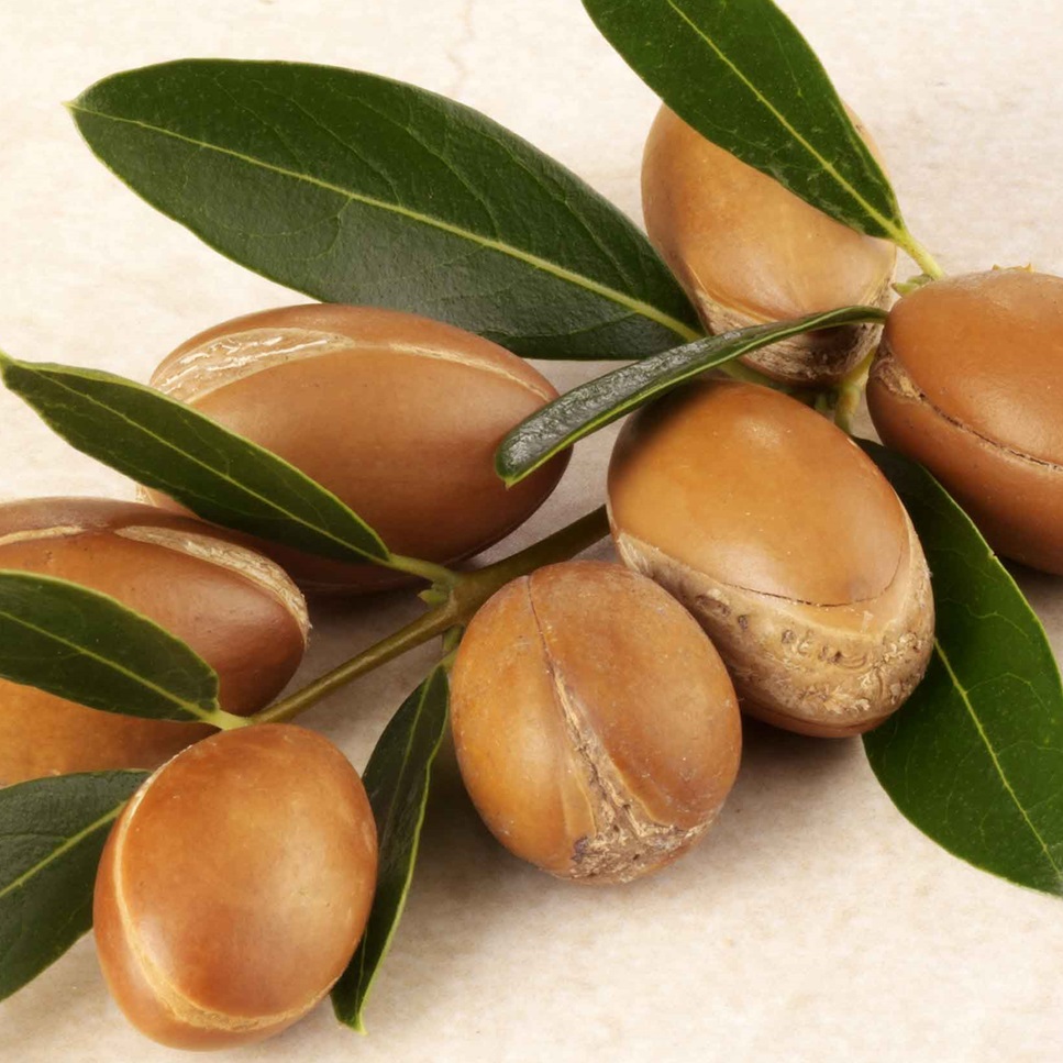 Bazowy Olej Arganowy