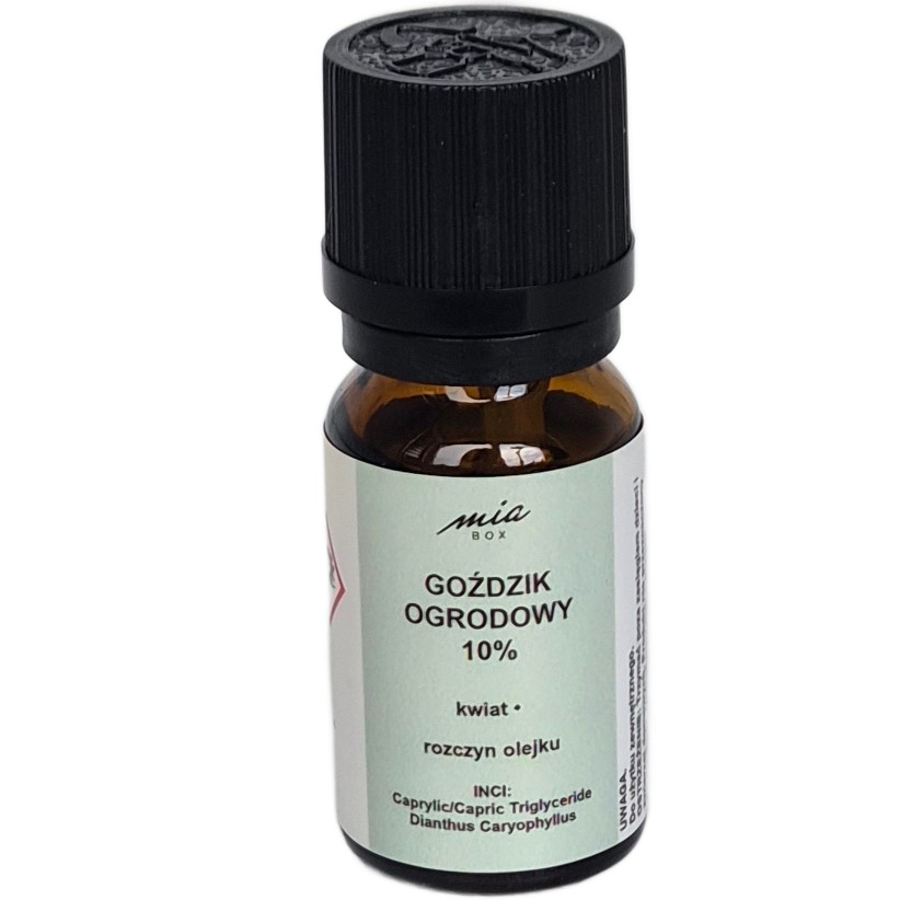 Goździk ogrodowy absolut - Dianthus Caryophyllus, Lavanga