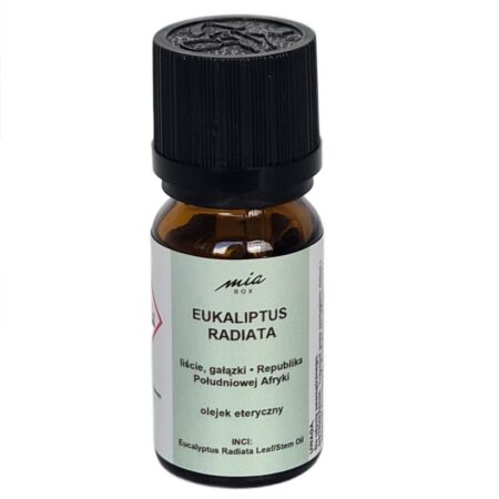 Radiata Eukaliptusowy naturalny olejek eteryczny - Eukaliptus Radiata